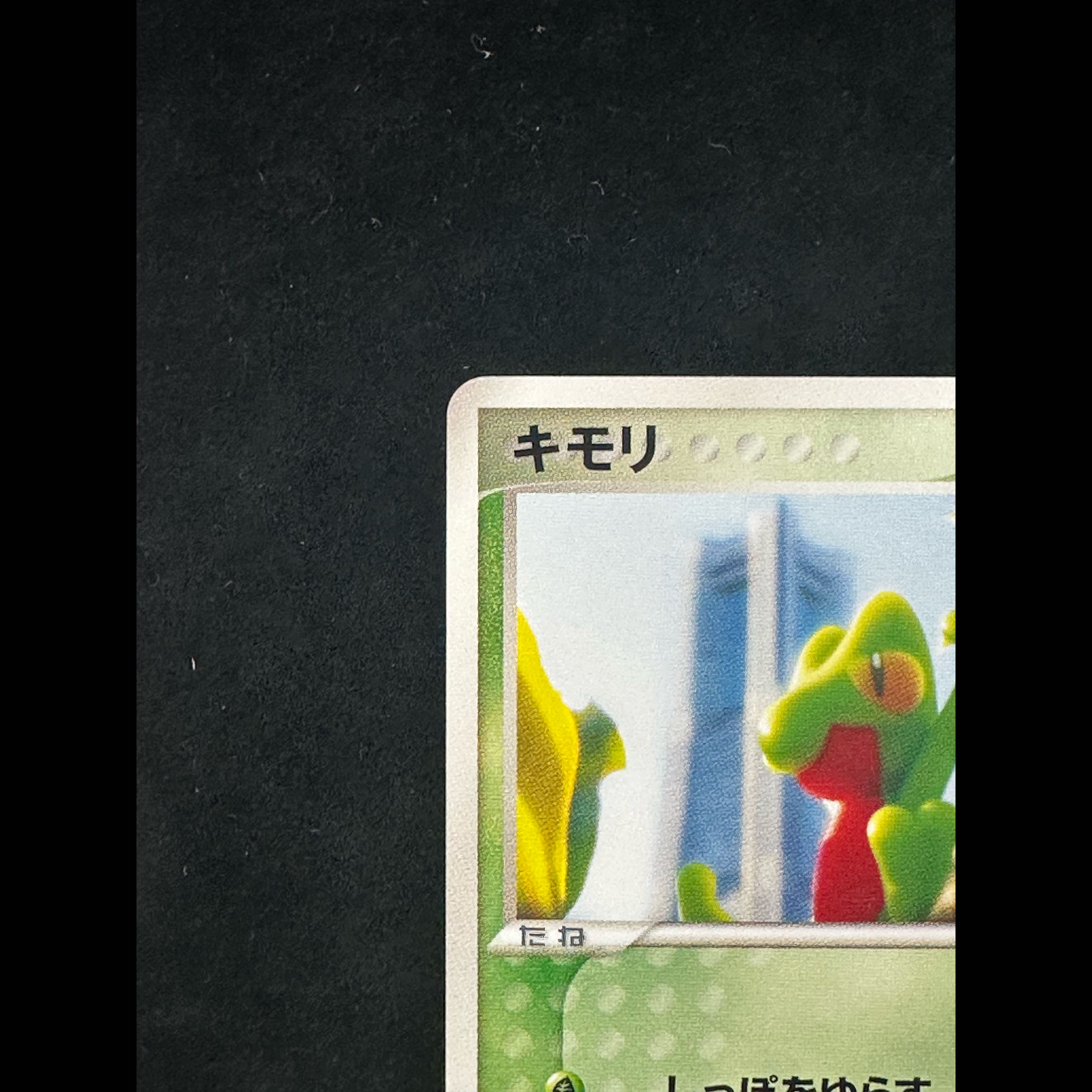 キモリ ポケモンセンターヨコハマオープン記念 PROMO 037/PCG-P 1枚