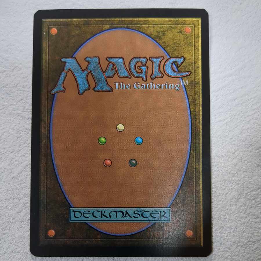 【8ED】森エイトグ【Foil】【英】 1枚