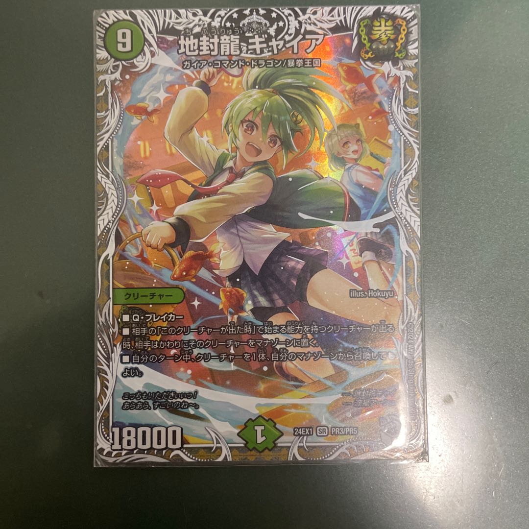 地封龍 ギャイア SR S5/S11