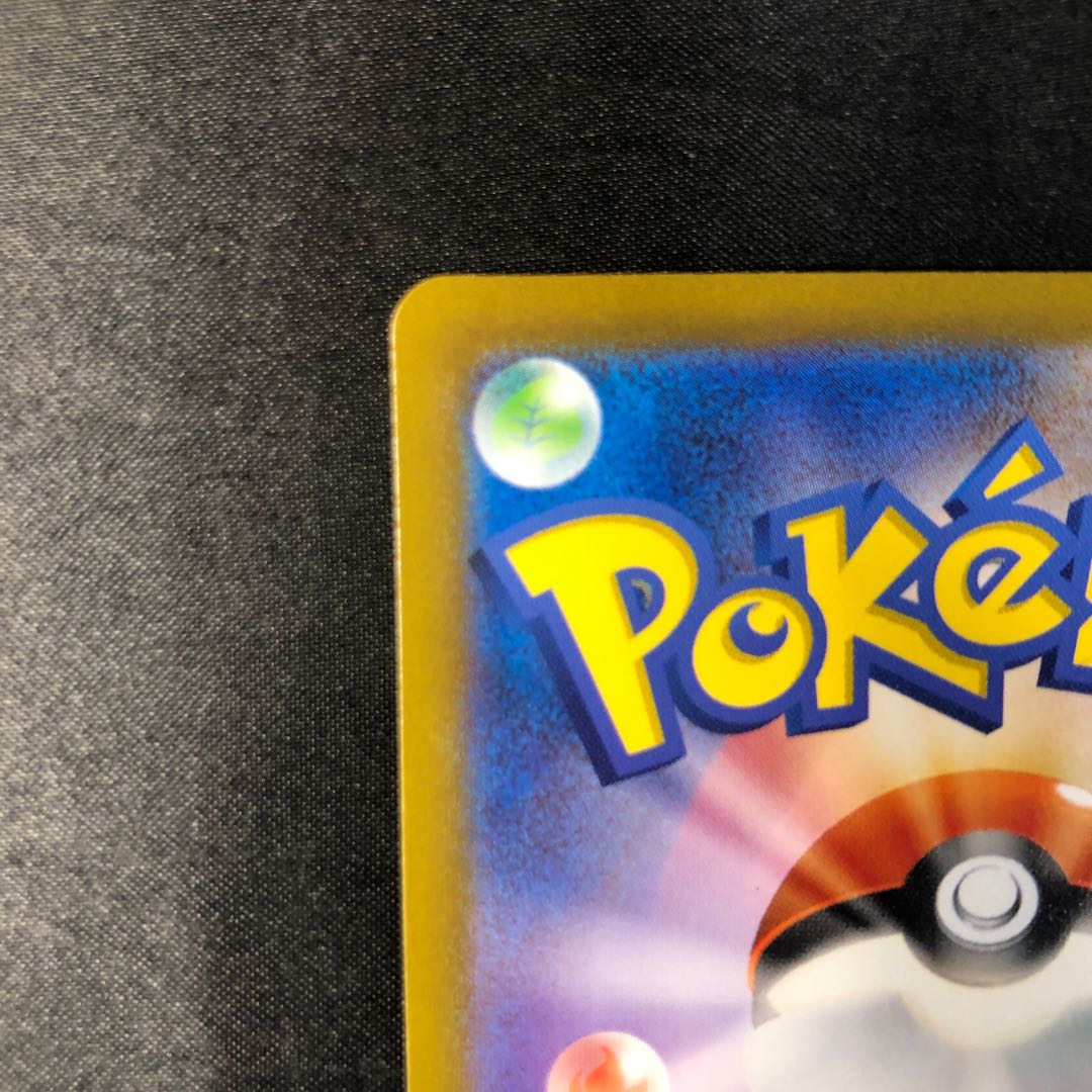 ZeraoraVMAX SAR 219/172 1枚