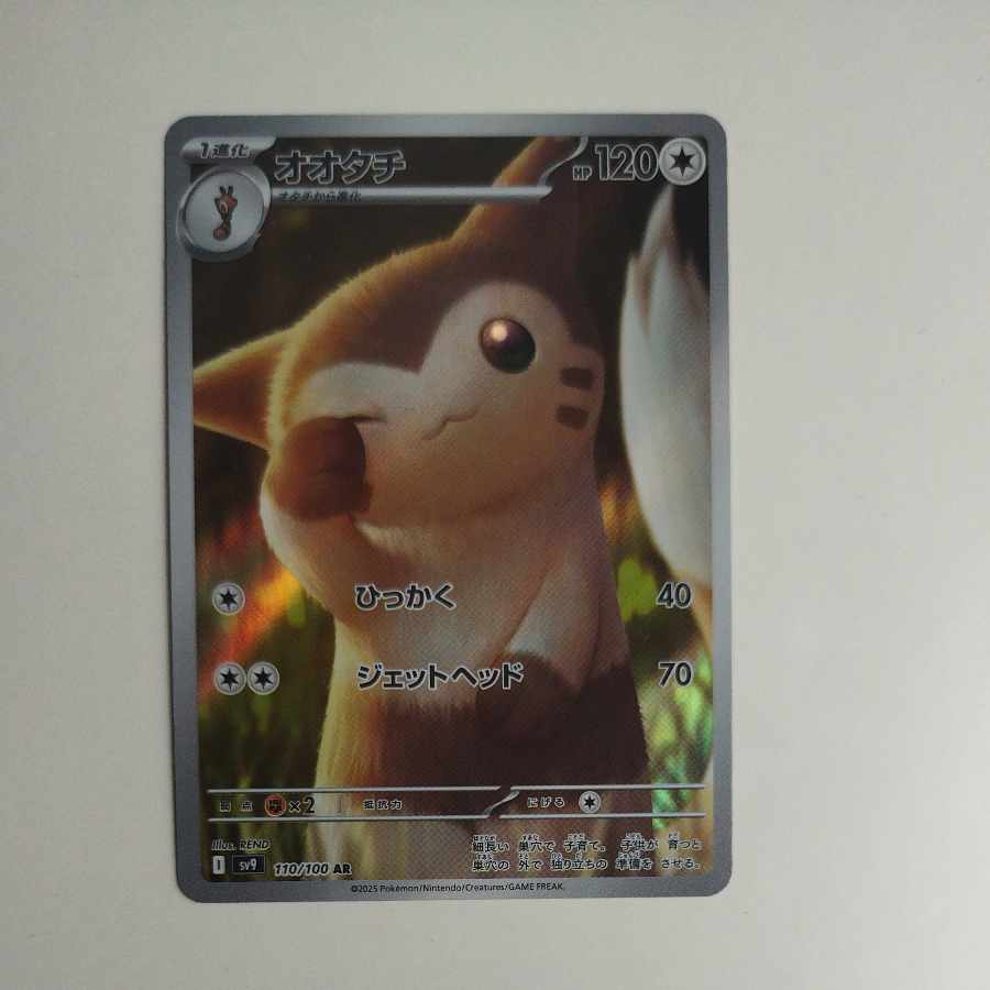 @ @ Furret AR 110/100 1枚