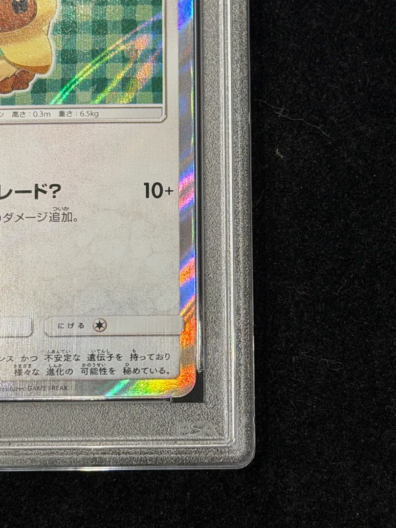 【PSA10】ポンチョを着たイーブイ PROMO 142/SM-P 1枚