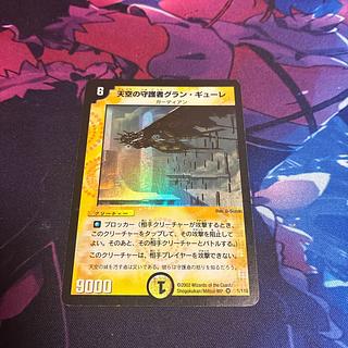 Gran Gure, Space Guardian VR 1/110 1枚