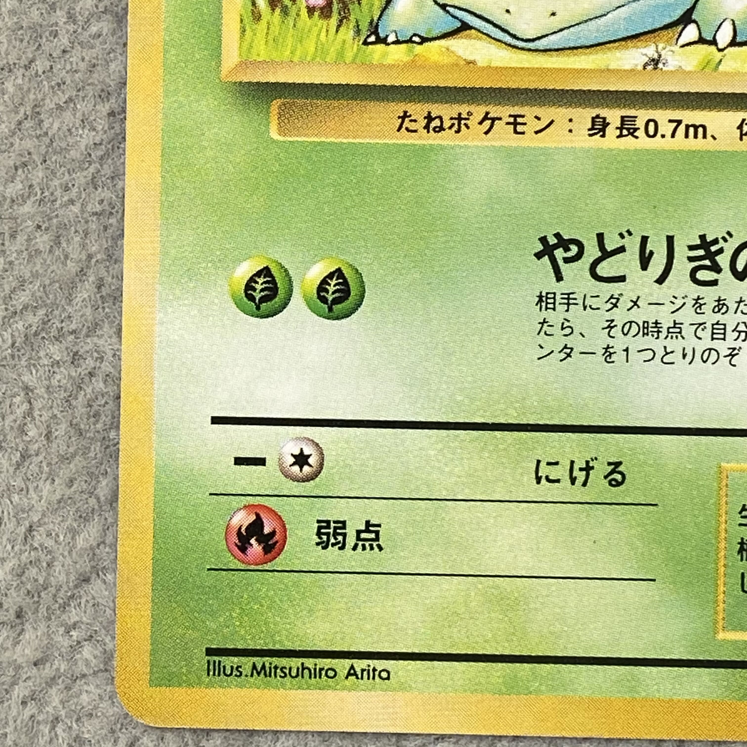 Bulbasaur First Edition, No Markings, Old Back Cover  1枚