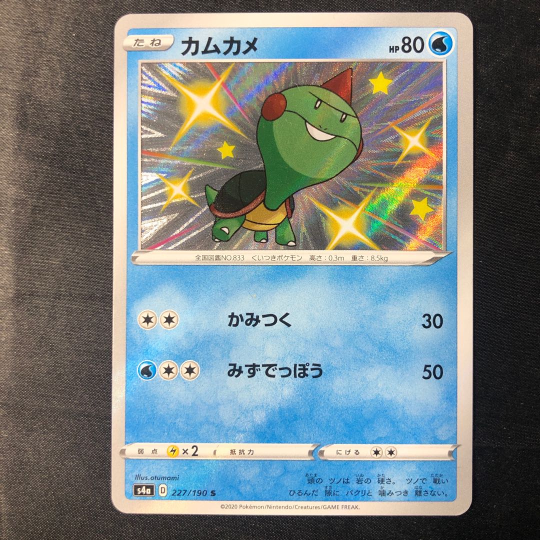 カムカメ S 227/190 1枚