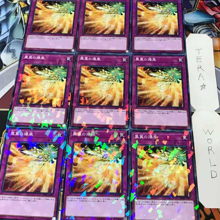Phoenix Wing Wind Blast DBHS 1 Normal Parallel, Trap, Set of 9, Tera. 9枚
