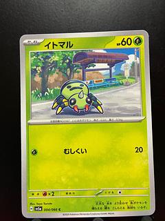 Rakurakudo] Pokeka Spinarak