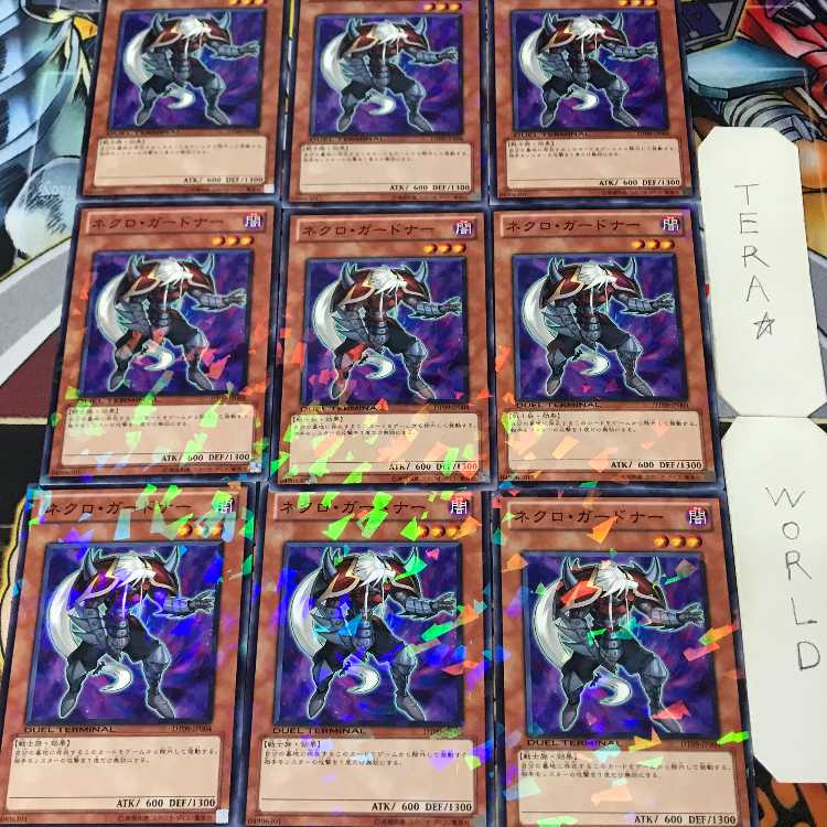 1 Duel Terminal, Effect, Set of 9, Tera. 9枚