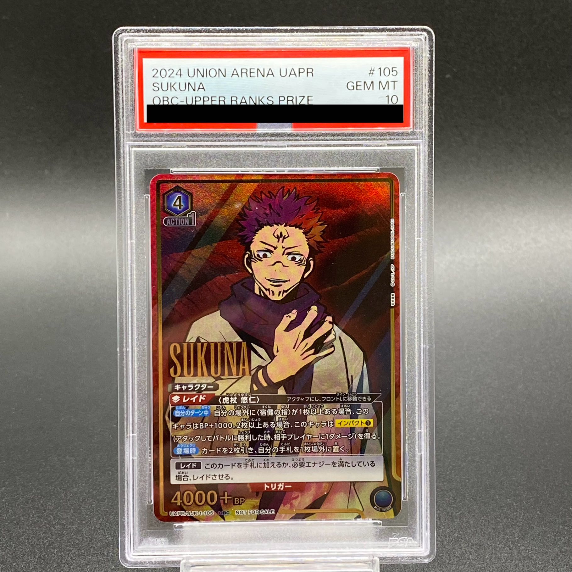 [PSA10] Shukuusina (OBC) {1-105}（UAPR-JJK)