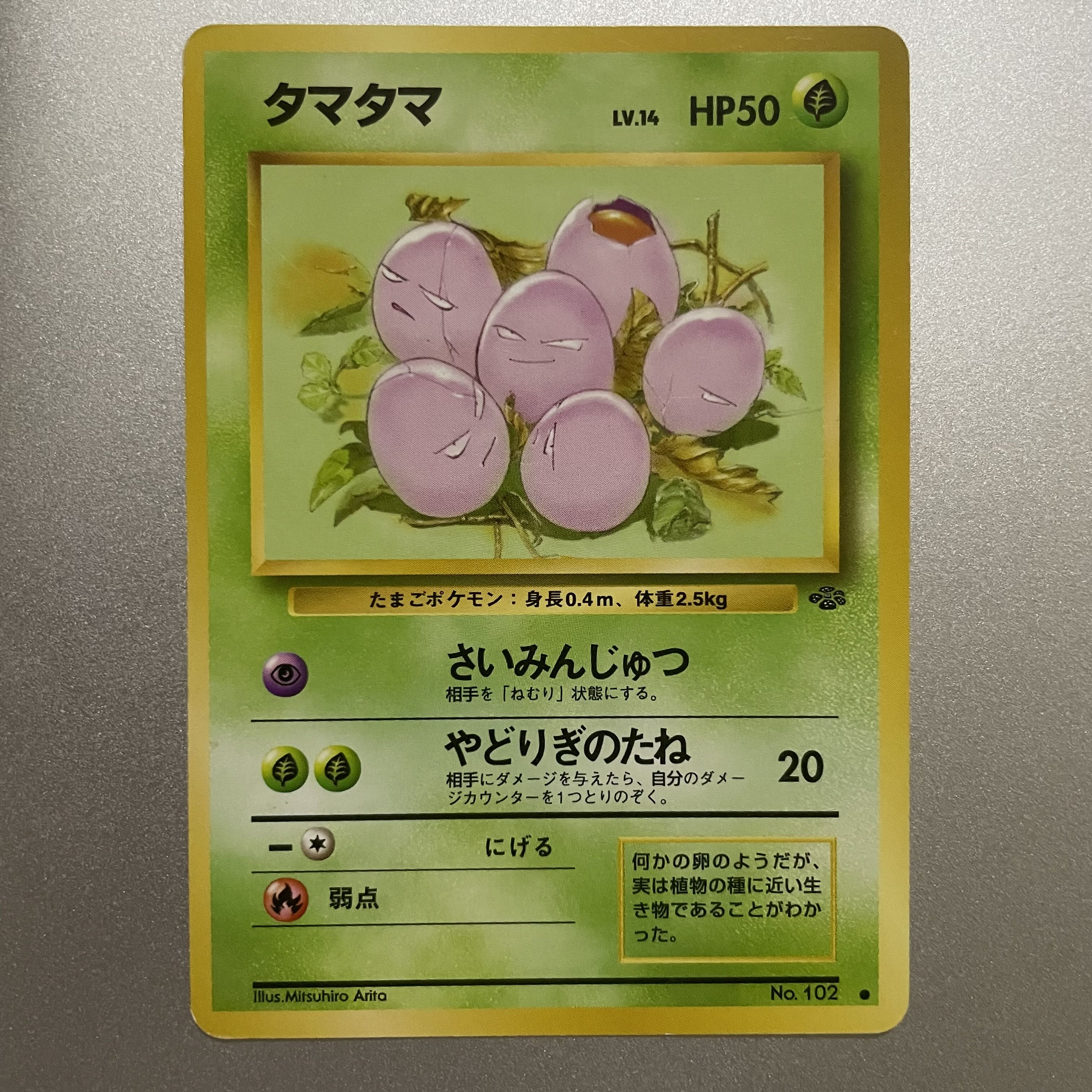 タマタマ　旧裏 1枚