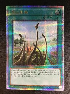 (iii) Dragon Shrine QCSE, 25th Sikh QCCP-JP194