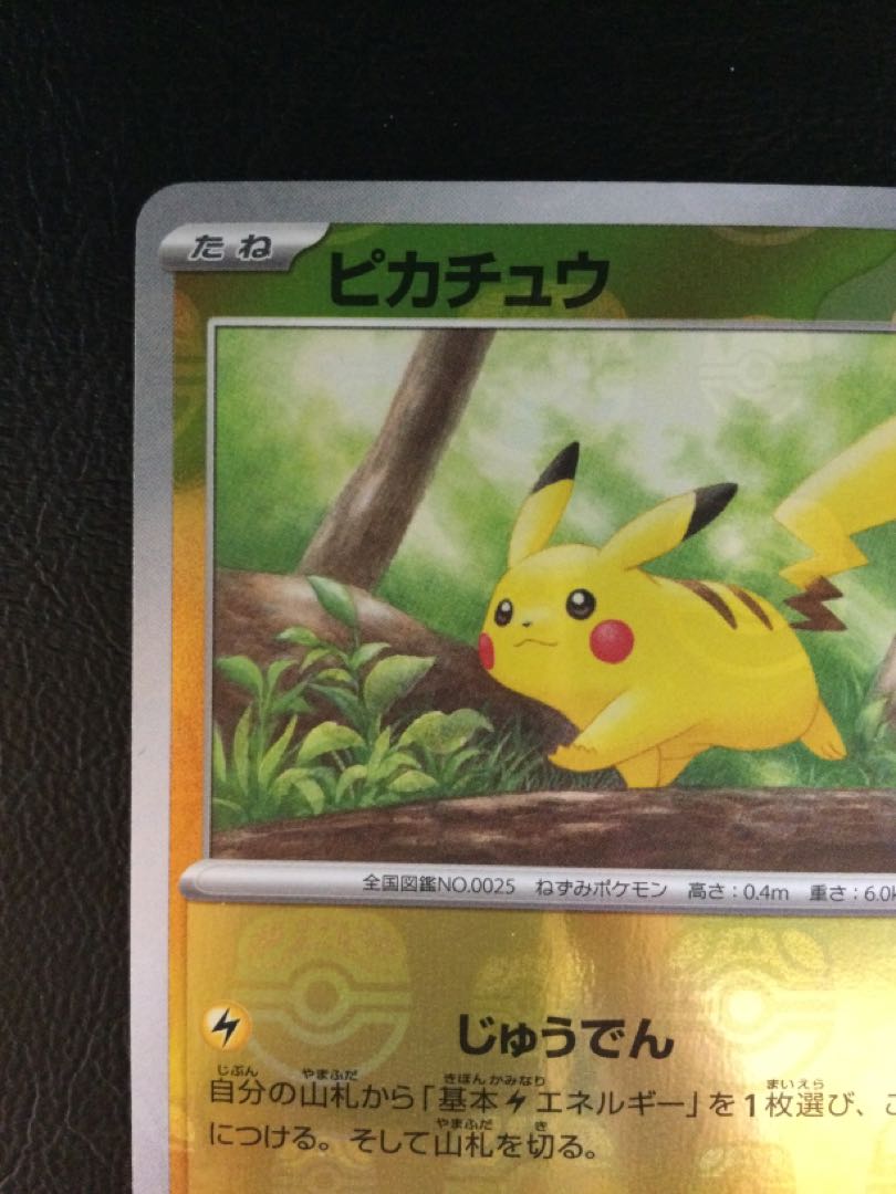 (Scratches) (1) Pikachu (Master Ball pattern/mirror) C 025/165
