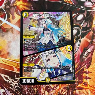 星門の精霊アケルナル｜スターゲイズ・ゲート VR 24/100の新品