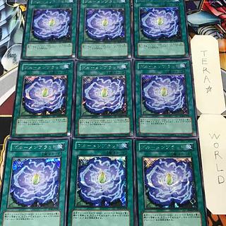1 Secret Magic, set of 9 Tera. 9枚