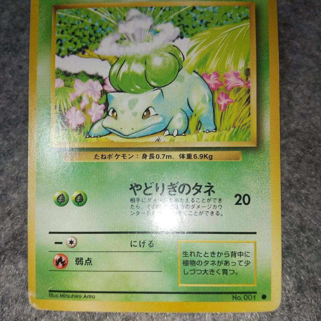 Pokemon Card Old Back Gen 1 Starters Pikachu 4-Piece Set [5-Digit Zip Code Empty Box Included] 1枚