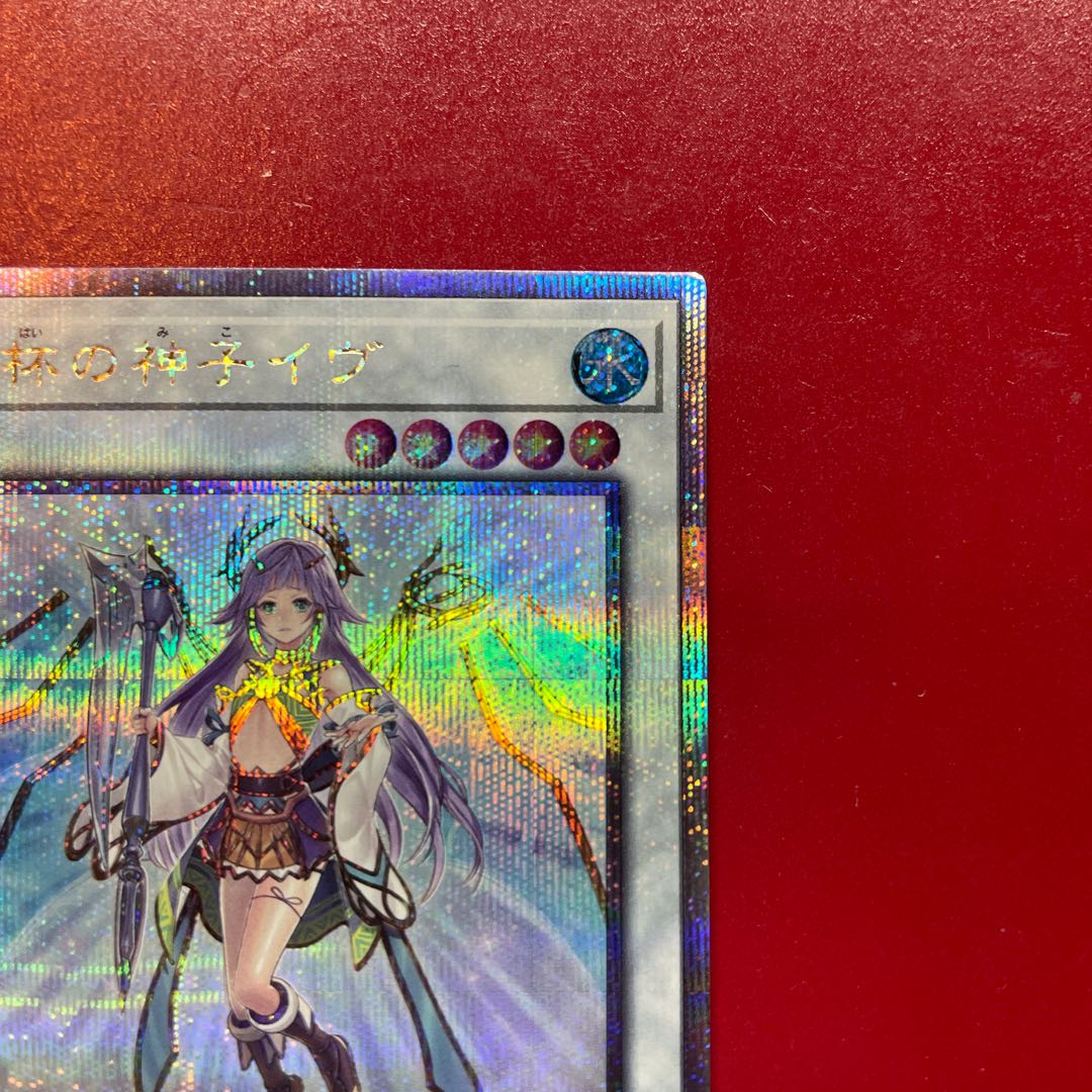 Anf 1 Ib the World Chalice Justiciar QCSE, 25th Sikh QCTB-JP043