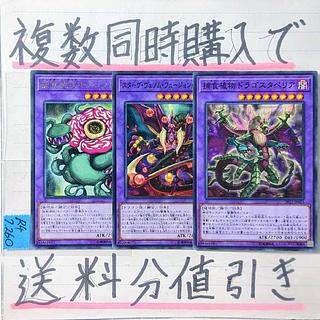Prey Upon Plant Deck Parts Normal x 3 Set Yu-Gi-Oh Predator Plants