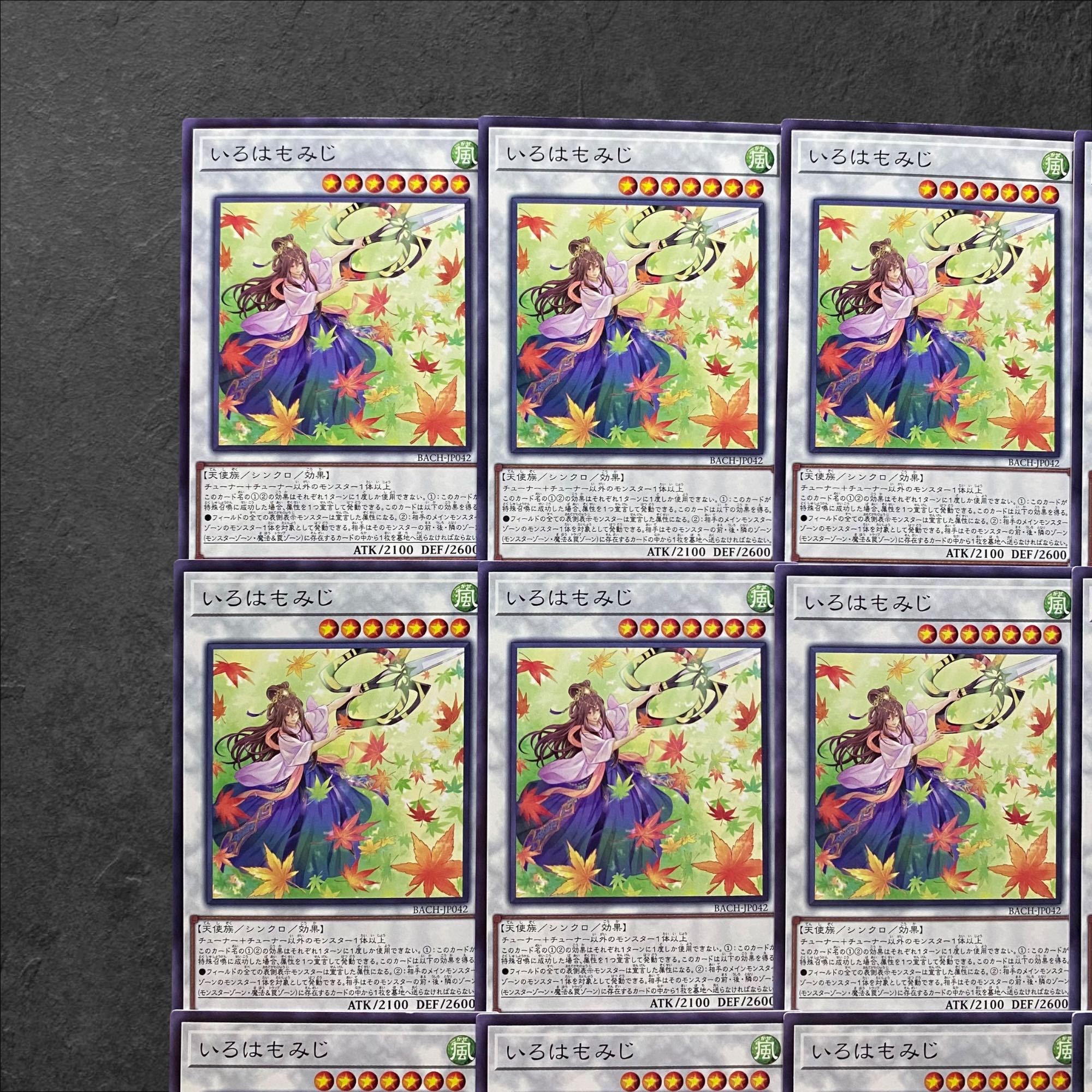 5699 [King of Games] Iroha Momiji 12-card set 12枚