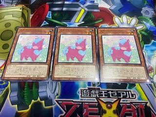 Y-771 Melffy Pony Normal JP020