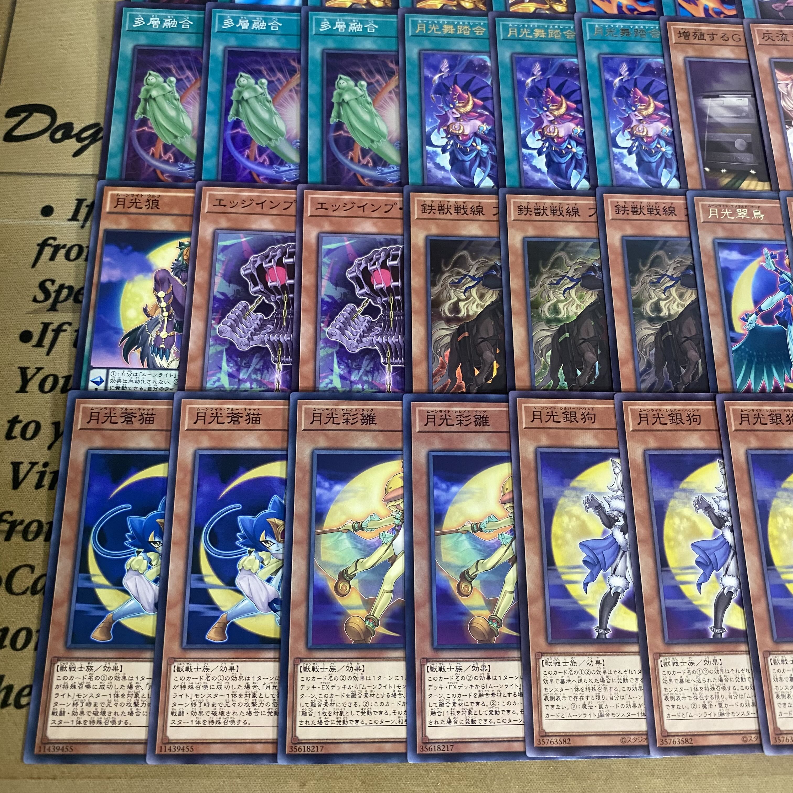 Moonlight Deck [Search Terms: Yu-Gi-Oh!, Serious Deck Building, Bundle Sale, Early Sets, Series 2, Relief, Gateball, Deck Parts, Ash Blossom & Joyous Spring] 1枚