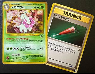 IntroPack neoMeganium:Chikorita mark & anything fix:Totodile mark 2枚