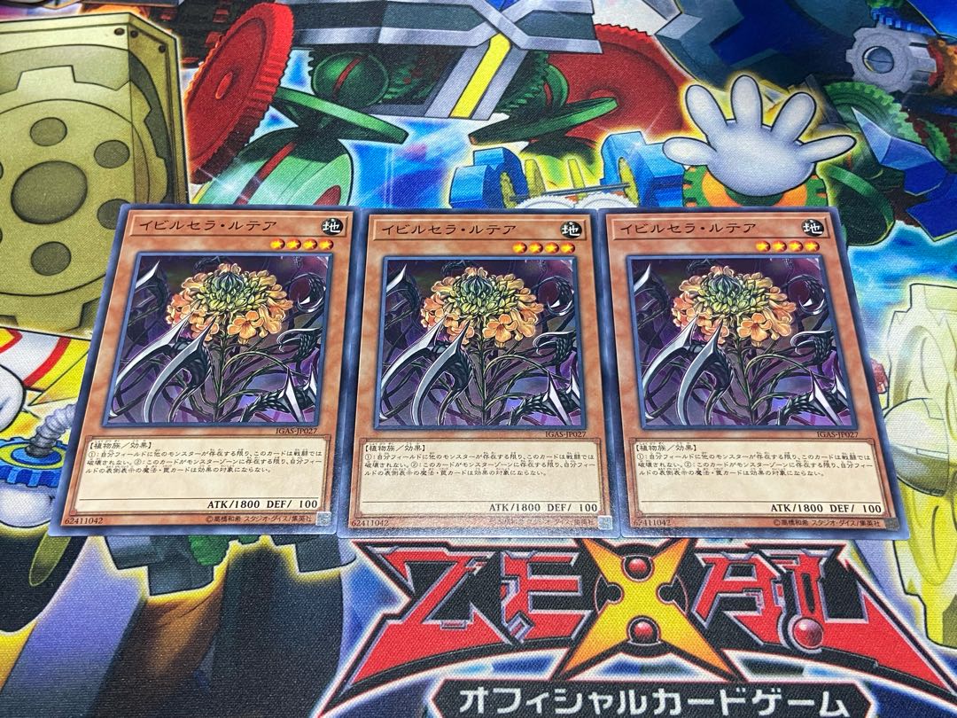 Y-3024 イビルセラ・ルテア ノーマル JP027