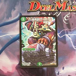 Class S Primitive Sunmad SR S9/S9 1枚