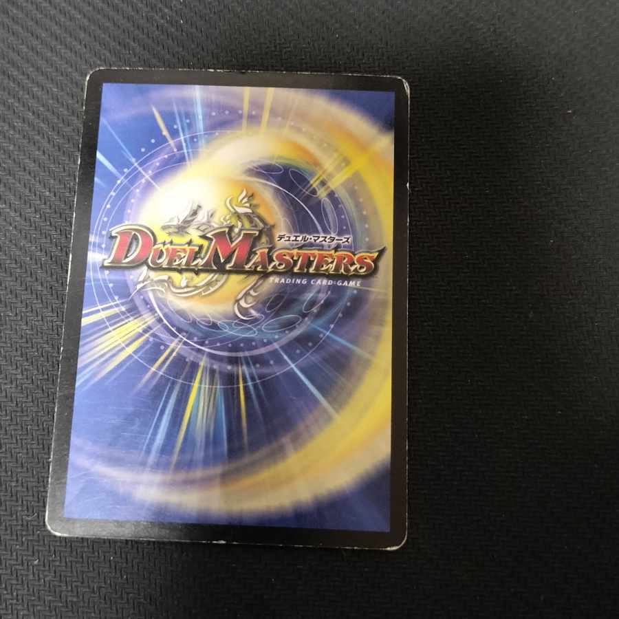 母なる大地 R 36/110 1枚