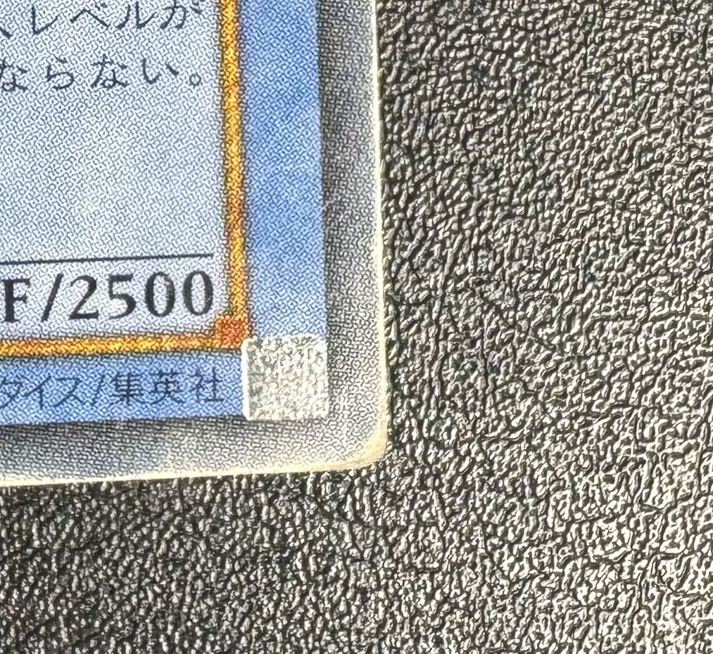 カオスソルジャー/戦士族/遊戯王カード/レリーフ/アルティメット カオスソルジャー/戦士族/遊戯王カード/レリーフ/アルティメット
