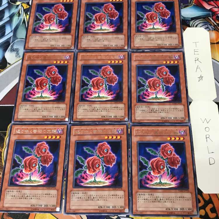 返り咲く薔薇の大輪 2 レア 9枚セット てら