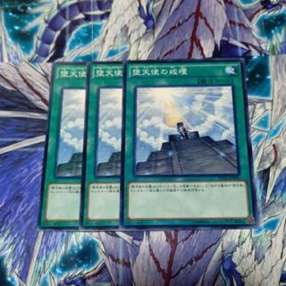 Darklord Contact Normal JP035 3枚
