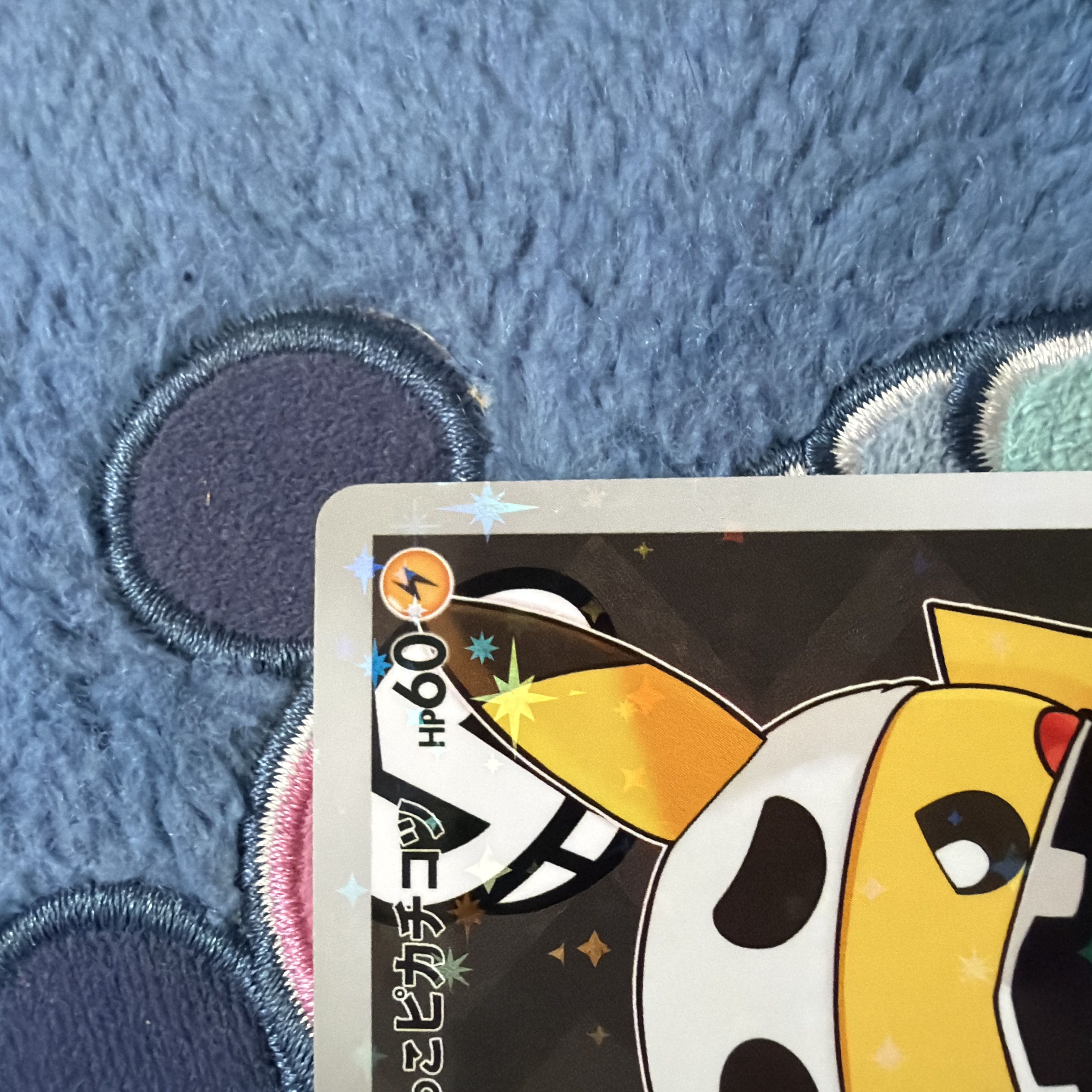 スカル団ごっこピカチュウ 1枚