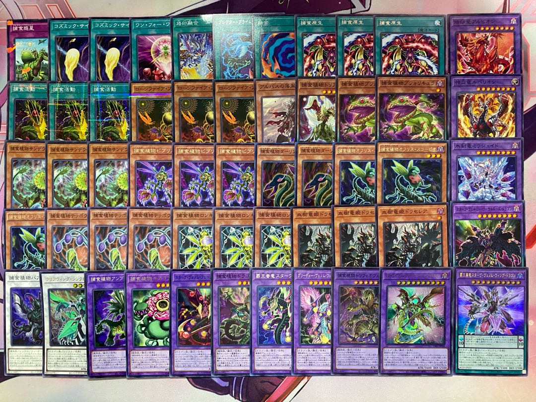 002　遊戯王　烙印捕食植物　プレデタープランツ　本格構築済みデッキ　ドラセレア 1枚