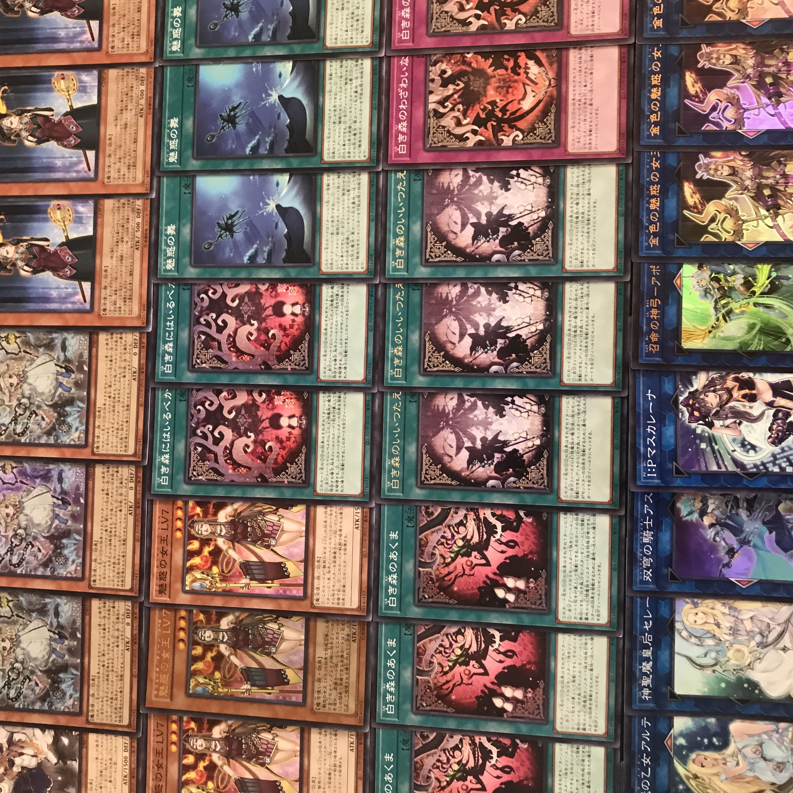 遊戯王【新規入り構築‼️】魅惑の白き森デッキ40枚 【公式通販】