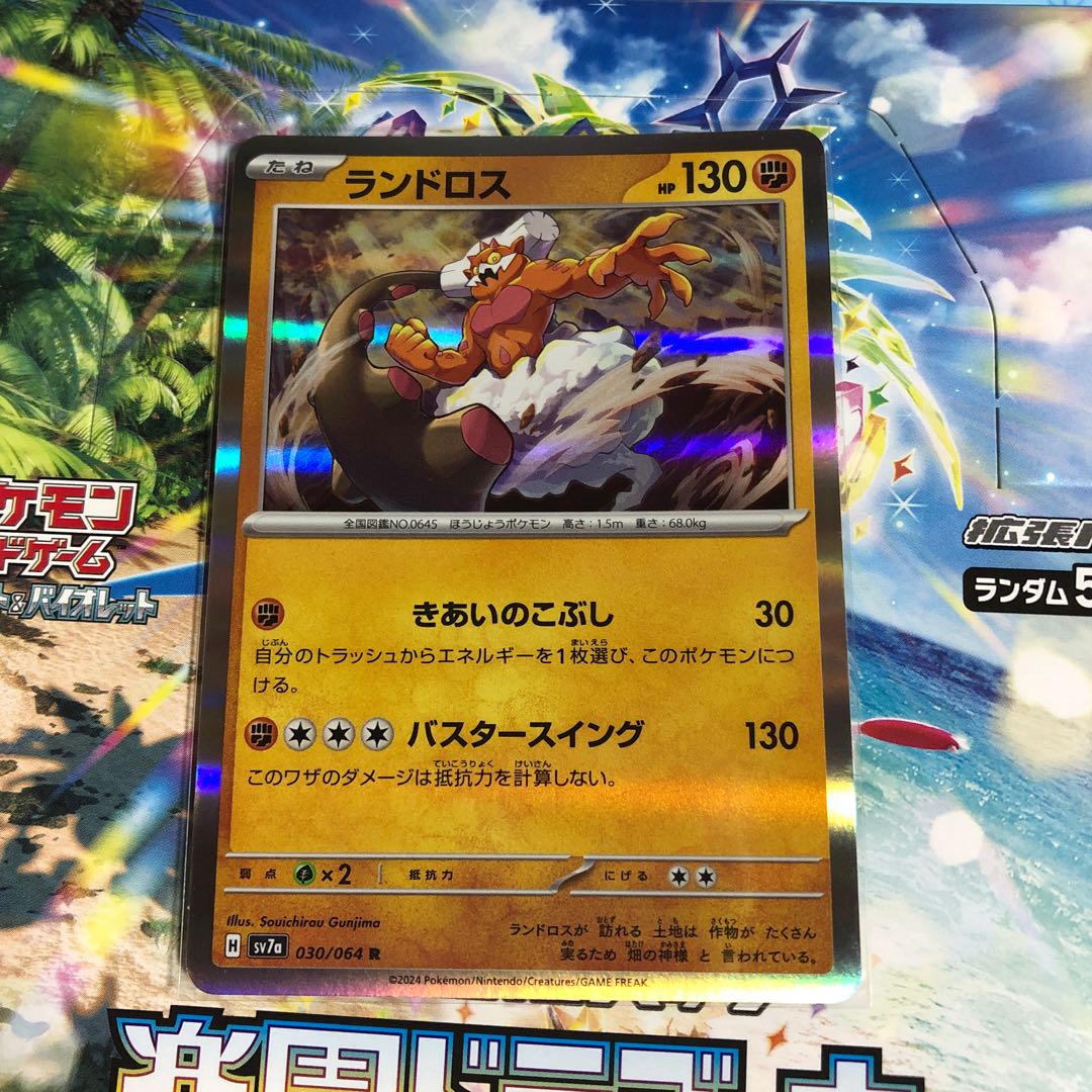 Landorus R 030/064 1枚