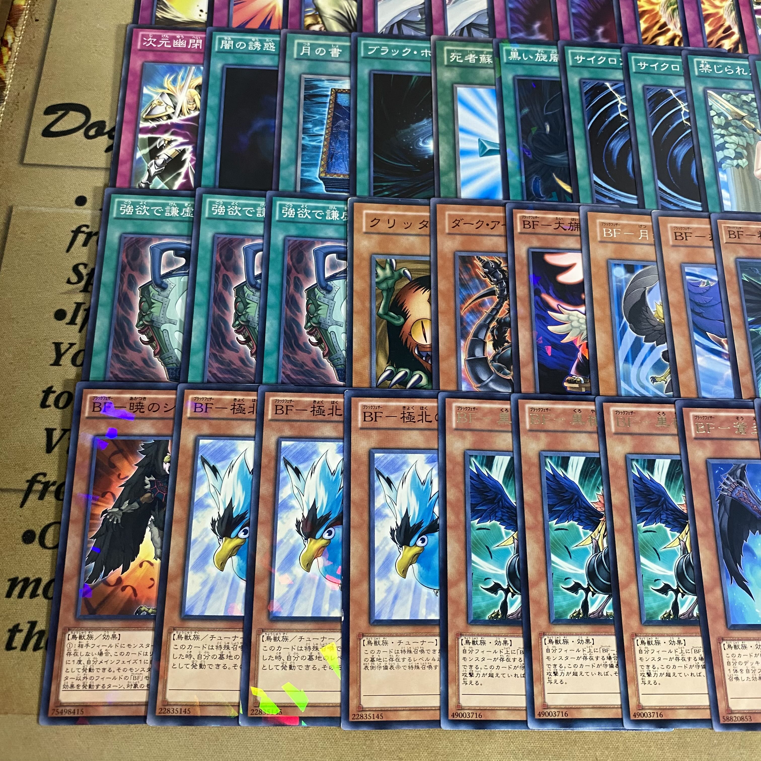 1103 Environment BF Black Feather Deck: Yu-Gi-Oh! Serious Build, Tournament-Ready Pre-Built Deck 1枚