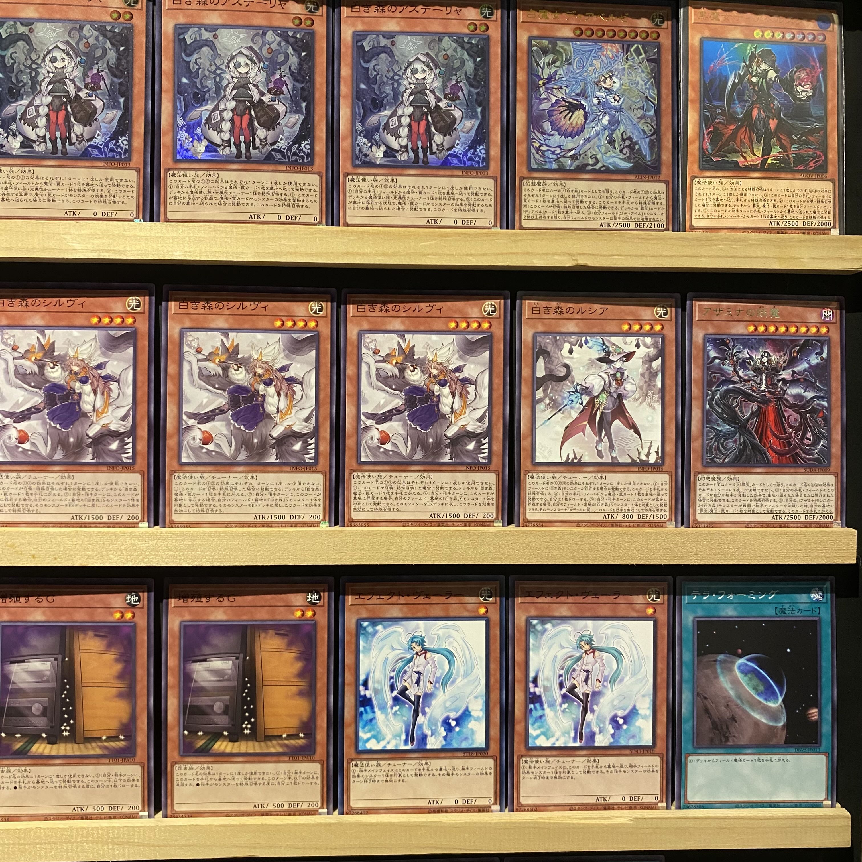 即日発送!【白き森】デッキ 遊戯王 白き森の聖徒リゼット 白き 即日発送!【白き森】デッキ 遊戯王 白き森の聖徒リゼット 白き