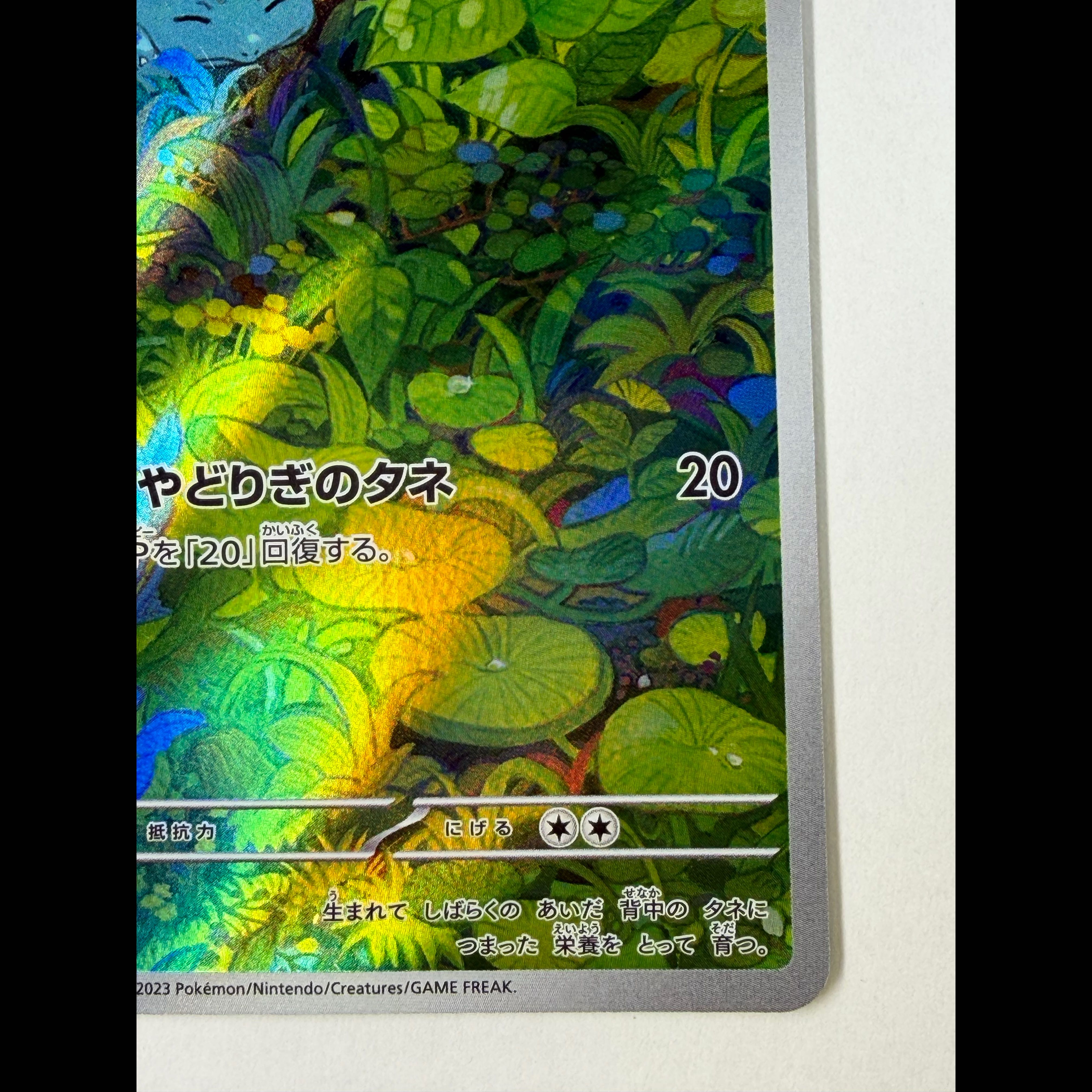 Bulbasaur AR 166/165 1枚