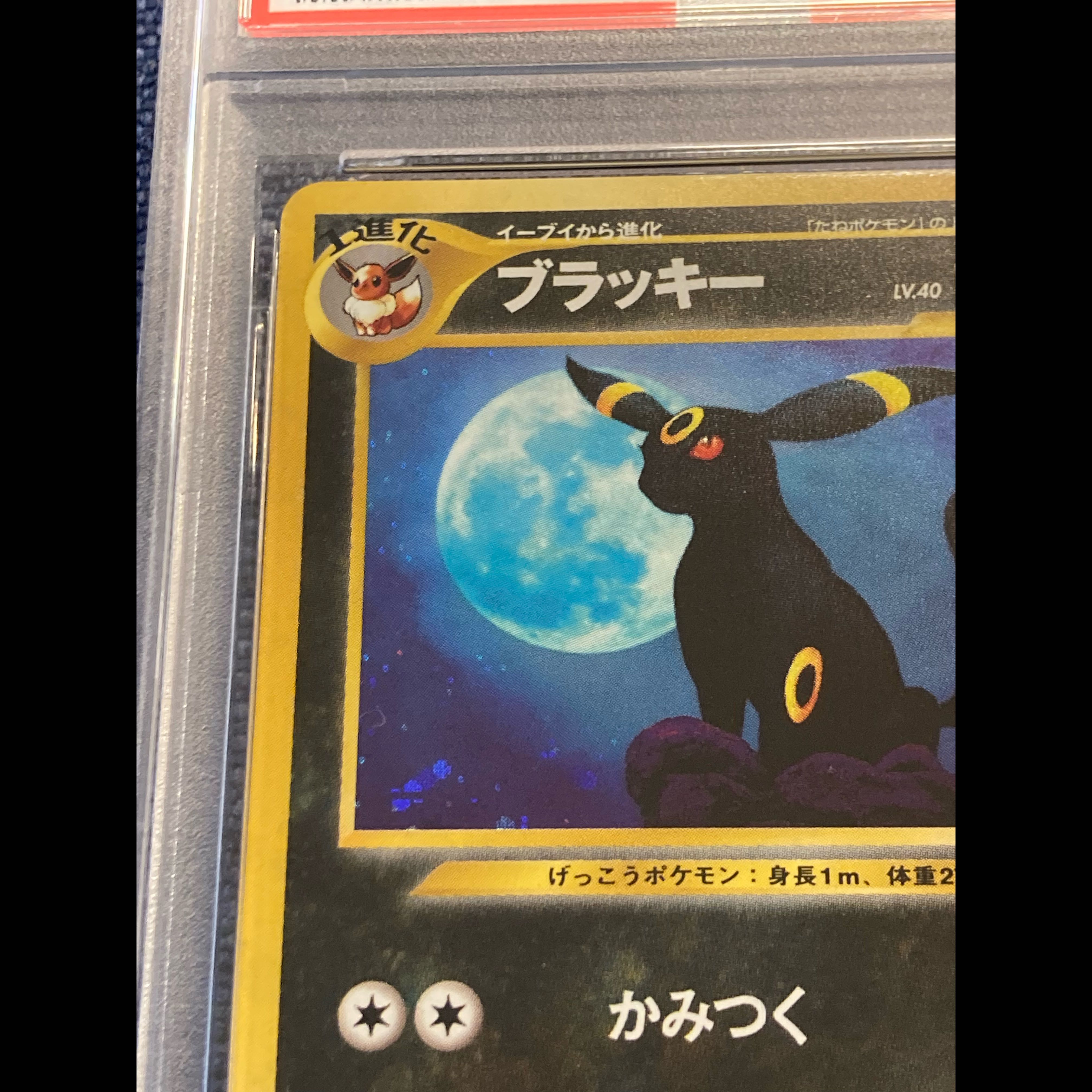 ブラッキー 旧裏 PSA6 鑑定付き 遺跡をこえて… 1枚