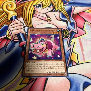 Performapal Hip Hippo Normal JP008