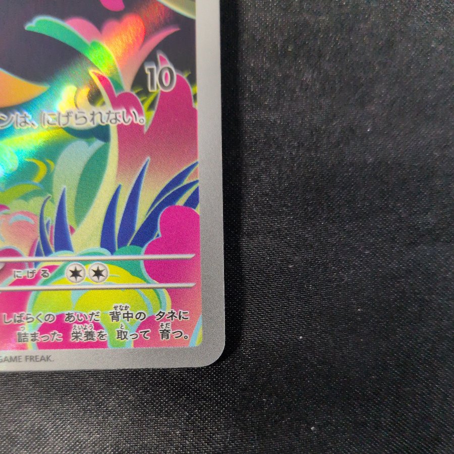 Bulbasaur AR 064/063 1枚