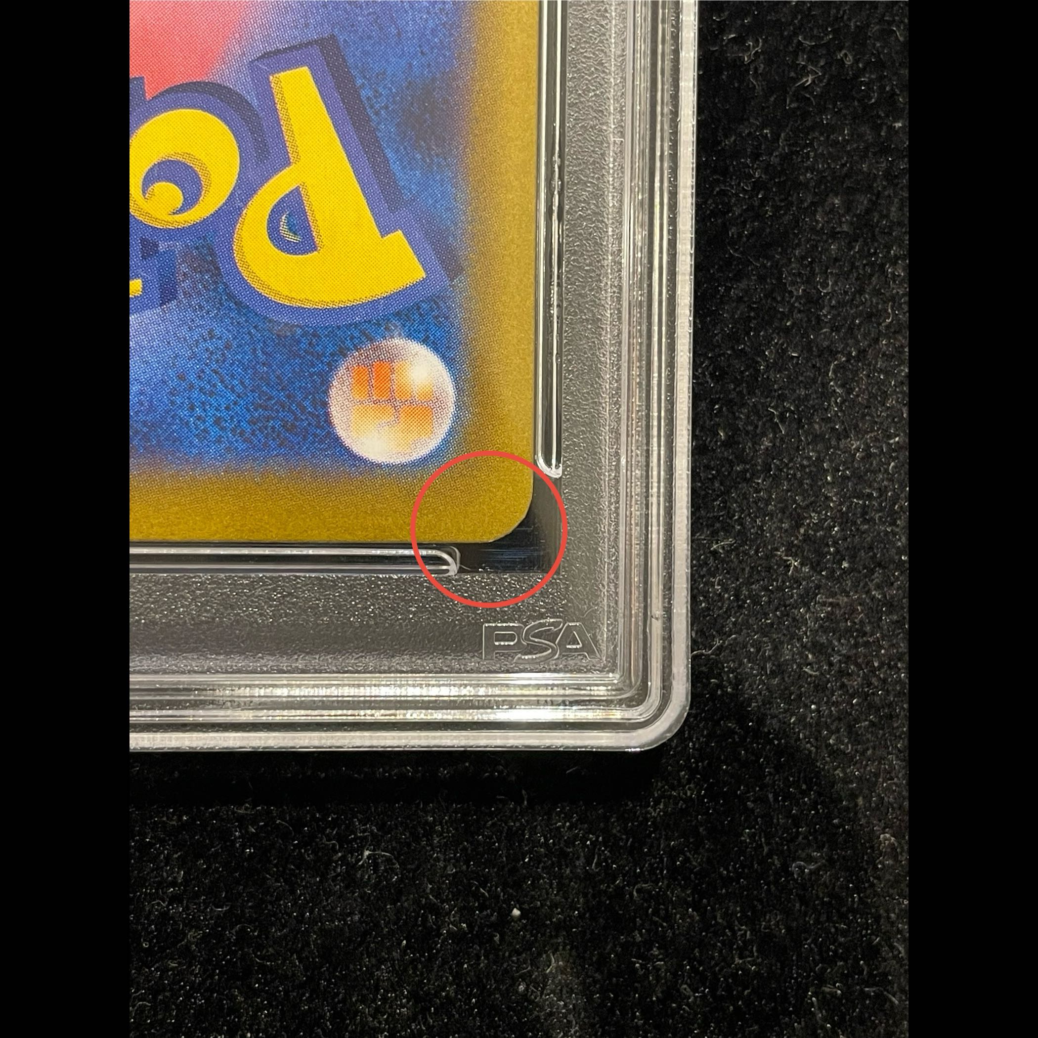 【PSA10】ブラッキーex SAR 217/187 1枚