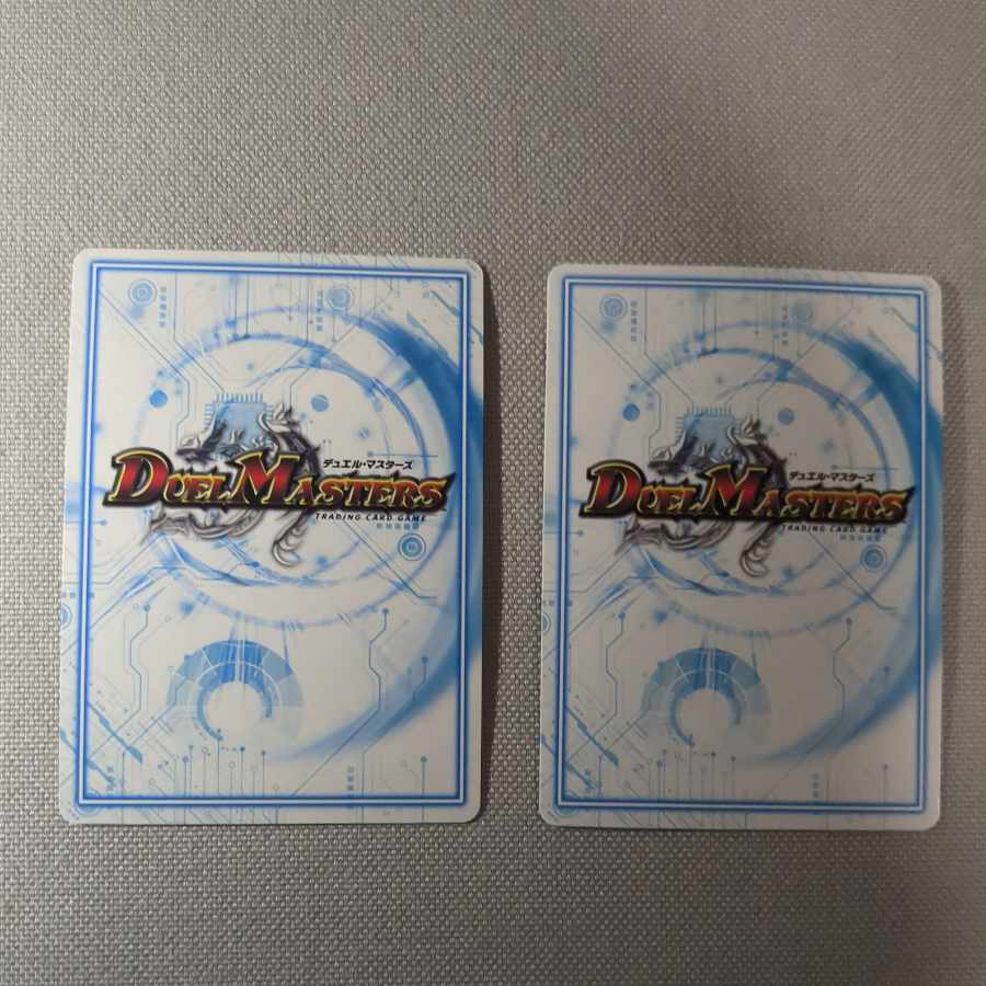 The ジョラゴン・ガンマスター MAS M1/M3 2枚