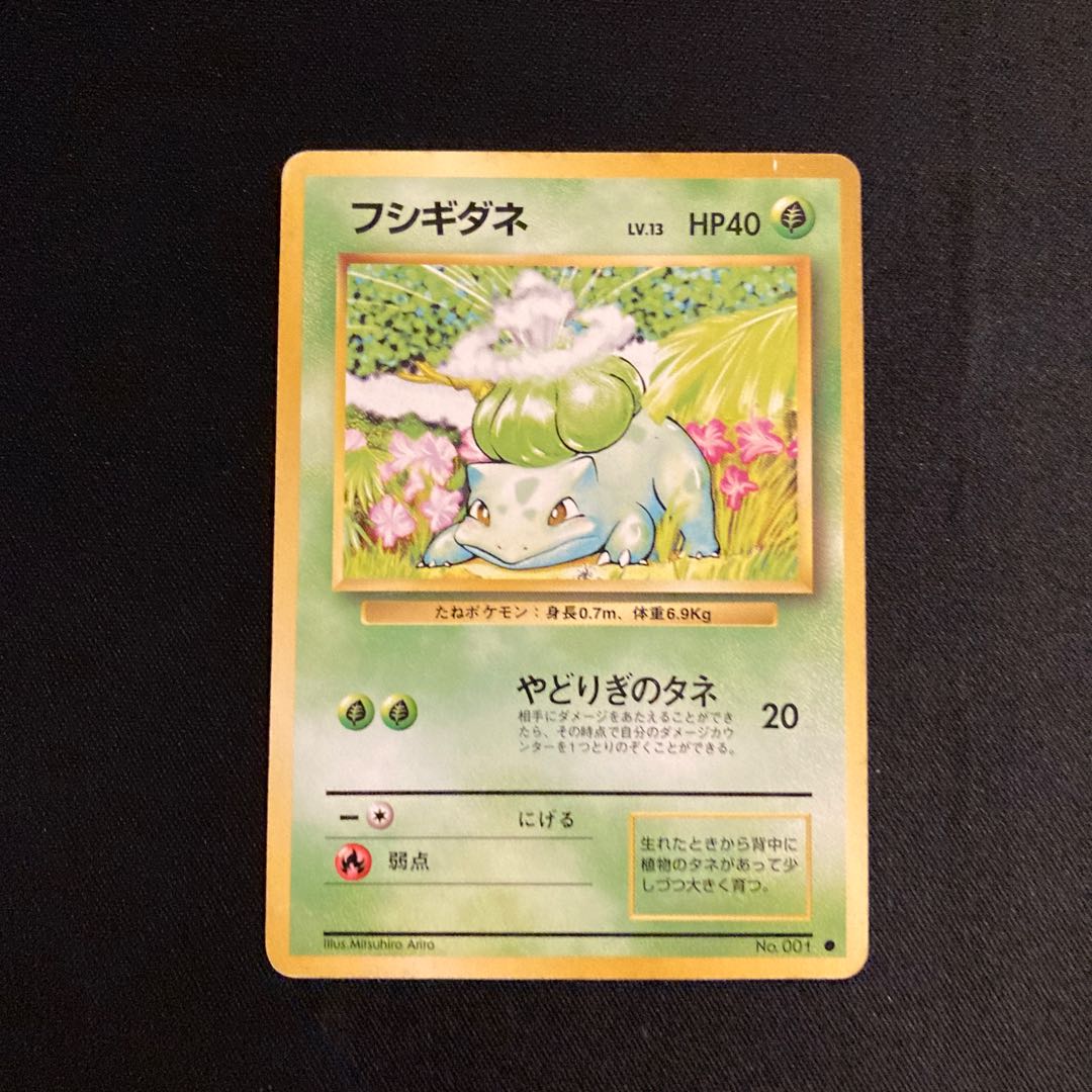 j180 Bulbasaur Old back side Pokémon Treasure