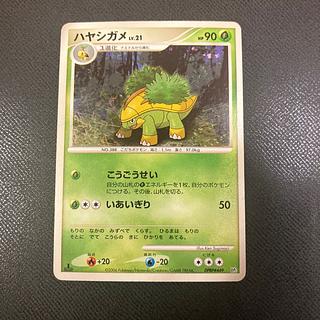 z1 Pokemon Grotle 1枚