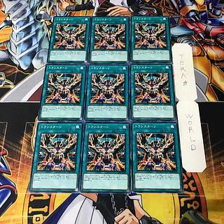 Transmodify SD35 1 Normal, set of 9 Tera.