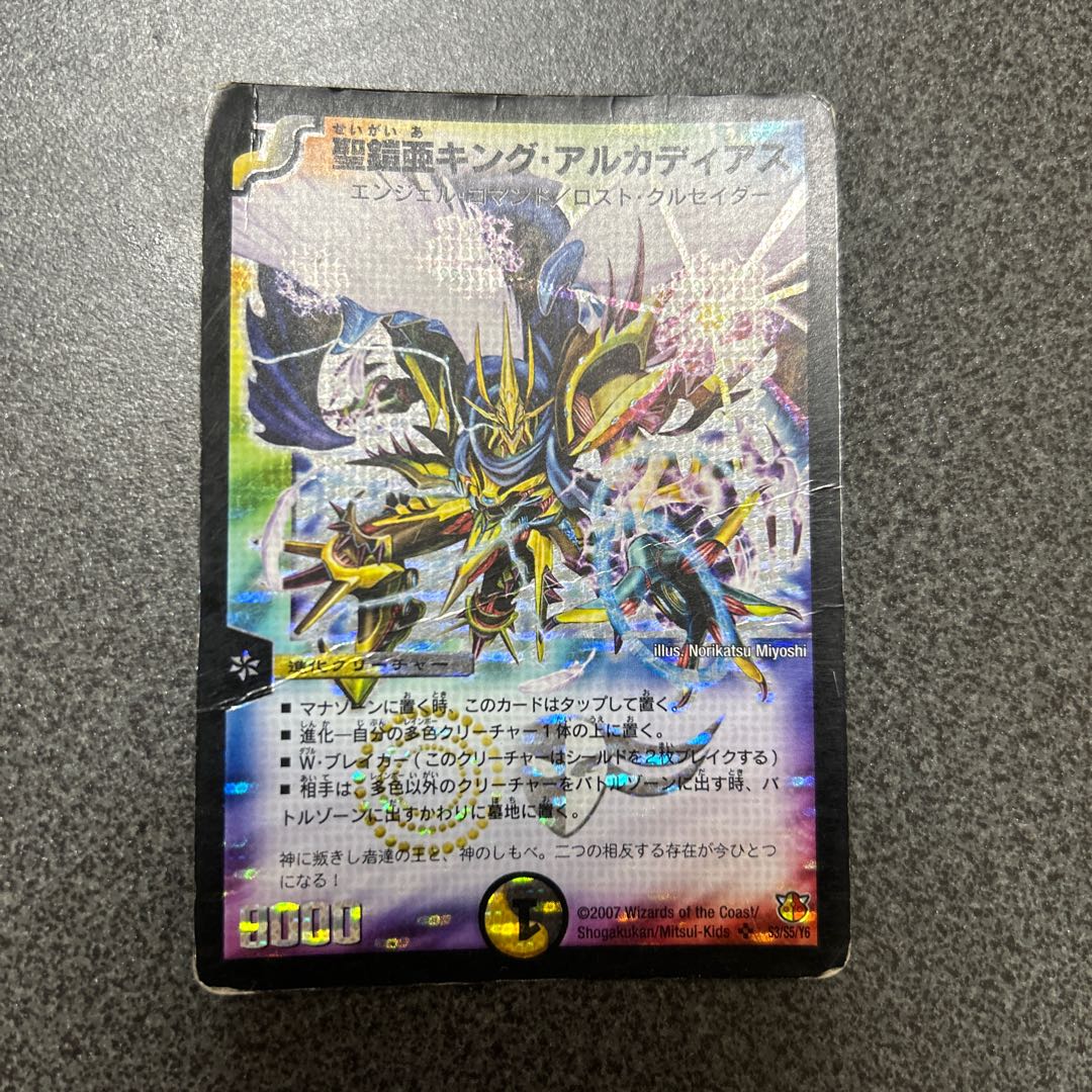 聖鎧亜キング・アルカディアス SE S3/S5/Y6 1枚