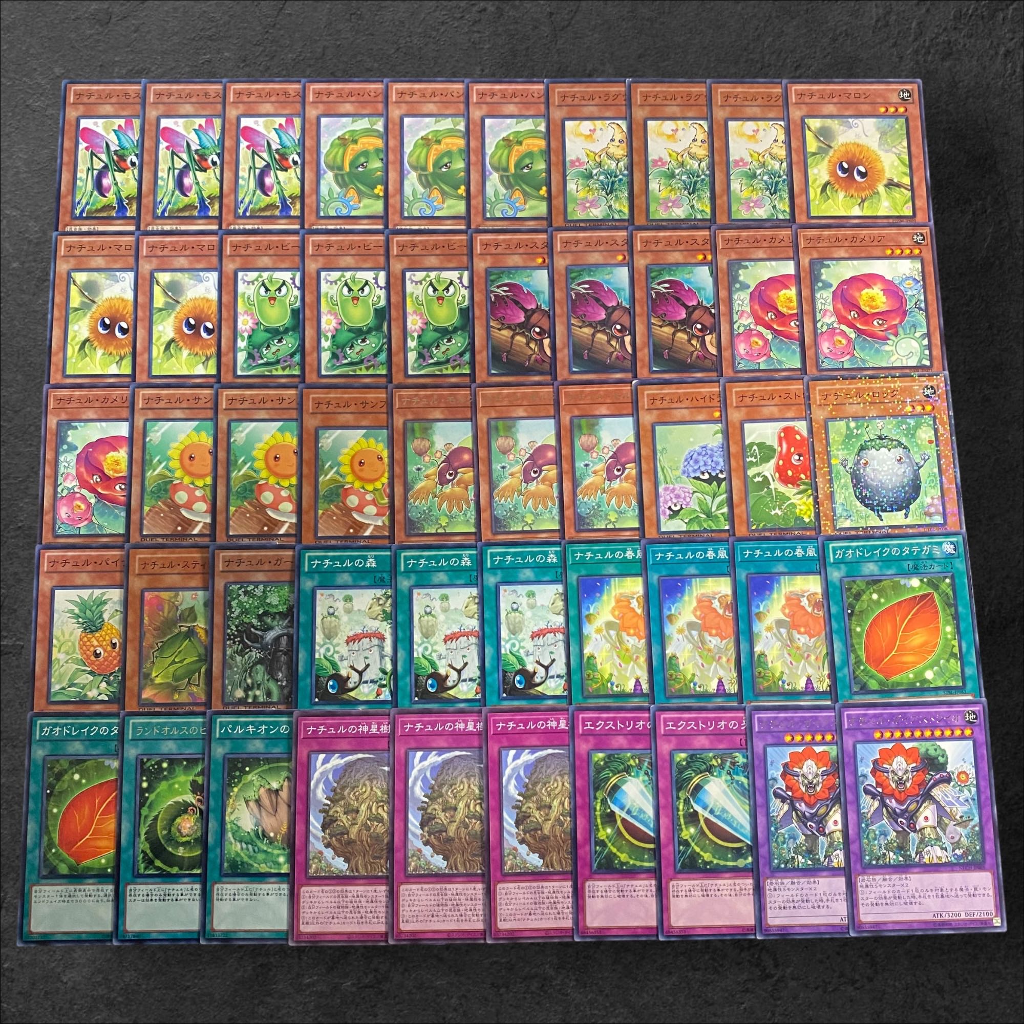 8009【遊戯王】ナチュル〈デッキパーツ〉50枚セット