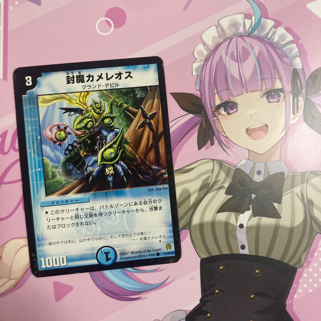 Enclosure Chameleos C 41/55/Y6