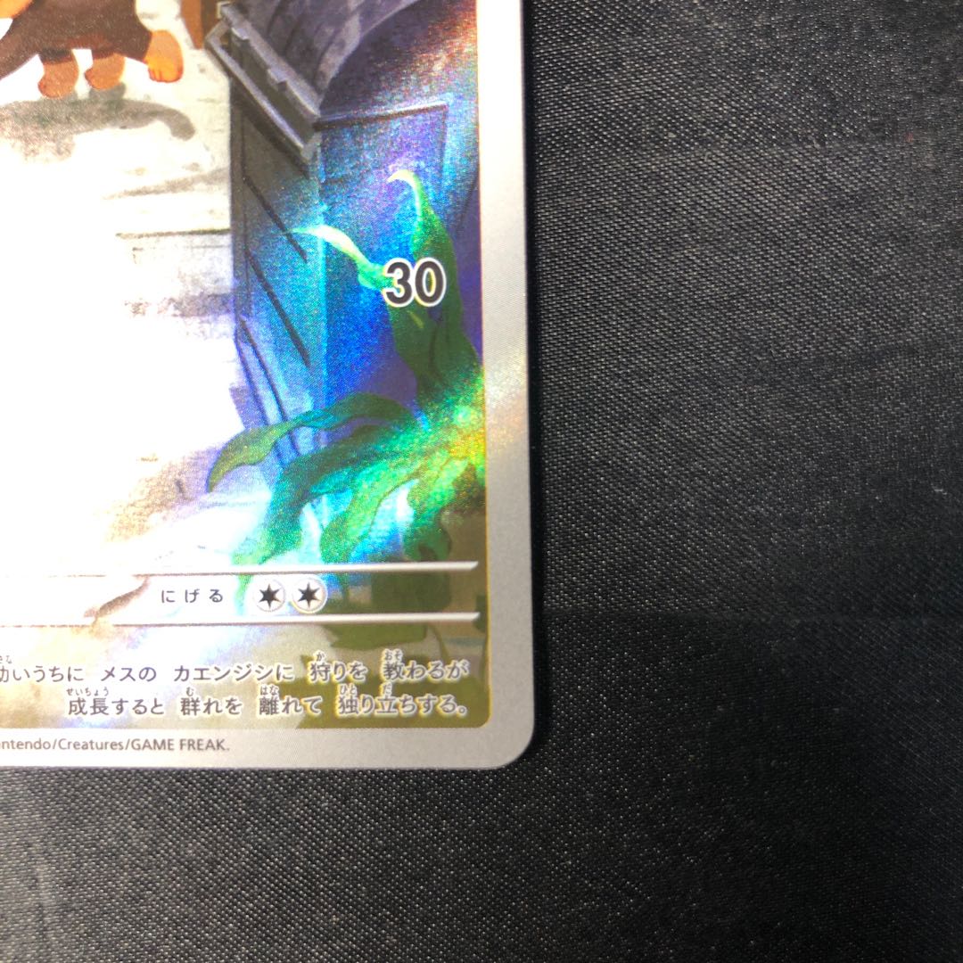 シシコ AR 066/063